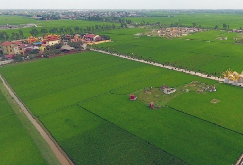 Thái Bình, người ta thường nghĩ ngay đến “quê hương của chị Hai năm tấn” với những cánh đồng trải lúa dài thẳng cánh cò bay (ảnh internet)