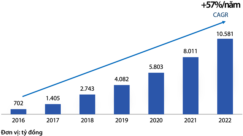 Tăng trưởng lợi nhuận hàng năm, 2016-2022p/Nguồn: BCTC, 2016-2022