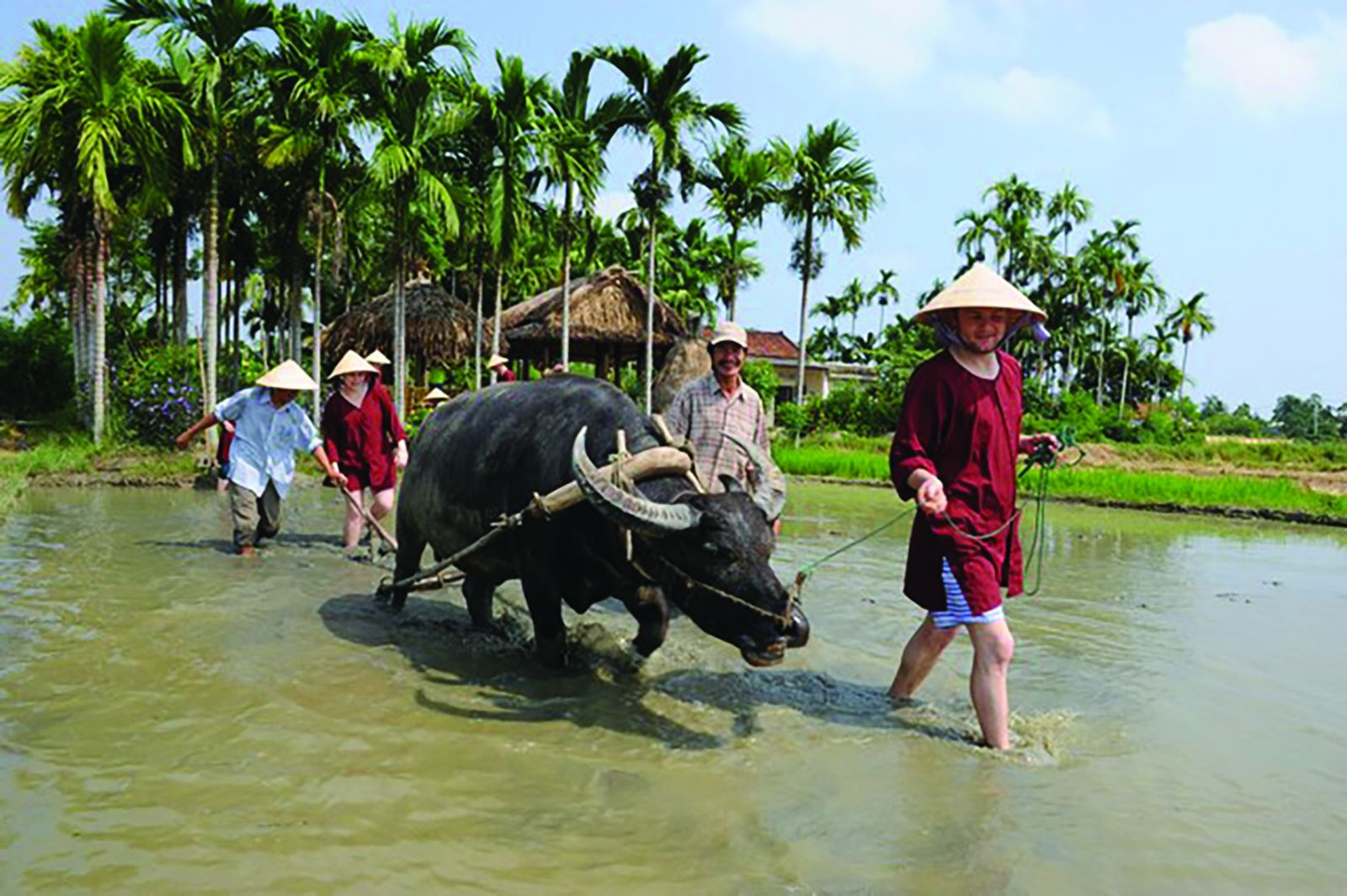  Quảng Nam xây dựng và phát triển nhiều sản phẩm du lịch nông nghiệp phù hợp với xu hướng khám phá, trải nghiệm của du khách. Ảnh: Tấn Cường