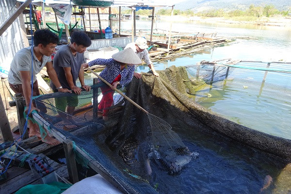 Các tỉnh Tây Nguyên đang đẩy mạnh lợi thế khai thác tối đa tiềm năng của lòng hồ thuỷ điện thuỷ lợi.