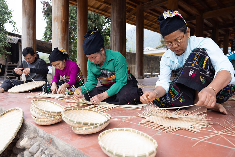 Trước đây, rừng tre khi chưa được giao cho cộng đồng, hộ gia đình quản lý, chưa áp dụng các biện pháp kỹ thuật chăm sóc, nuôi dưỡng, phục tráng và khai thác bền vững theo yêu cầu về quản lý rừng bền vững, rừng tre thường sinh trưởng kém