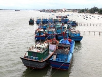 Nam Định: Quy trách nhiệm cho người đứng đầu nếu tàu cá của địa phương vi phạm khai thác IUU