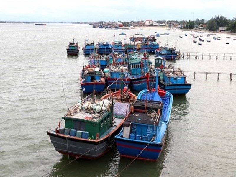 Thời gian qua tỉnh Nam Định quyết tâm gỡ thẻ vàng IUU. Trong đó cương quyết xử phạt và thu hồi Giấy phép khai thác thủy sản của nhiều tổ chức, cá nhân vi phạm khai thác thủy sản.