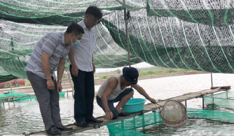 Cán bộ Chi cục Chăn nuôi và Thú y kiểm tra, lấy mẫu giám sát bệnh đốm trắng trên tôm tại xã Thụy Hải - Thái Thụy (ảnh báo Thái Bình)