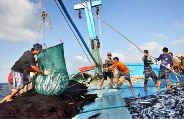 Phát triển kinh tế biển gắn với bảo đảm quốc phòng, an ninh. 