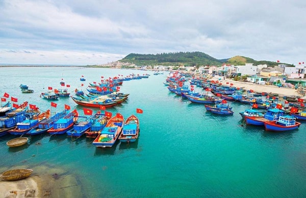 Việt Nam cần xây dựng chiến lược mới phát triển đội tàu quốc gia theo hướng trẻ hóa, hiện đại, đảm bảo tuân thủ các tiêu chuẩn quốc tế về khí thải.