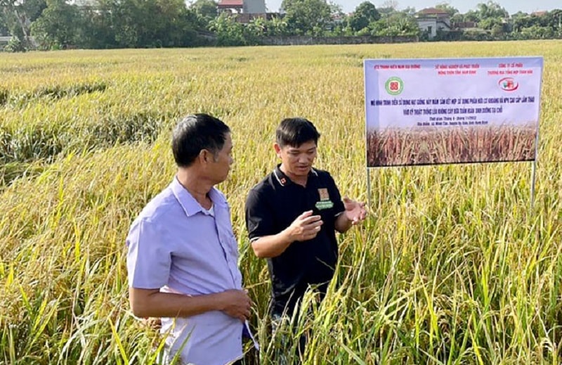 Mô hình sản xuất gạo mầm của hợp tác xã Nam Đại Dương tại xã Minh Tân (Vụ Bản).