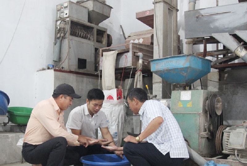 Dây chuyền chế biến gạo sản xuất theo hướng hữu cơp/thị trấn Ninh Cườngp/- Trực Ninh (ảnh báo Nam Định)