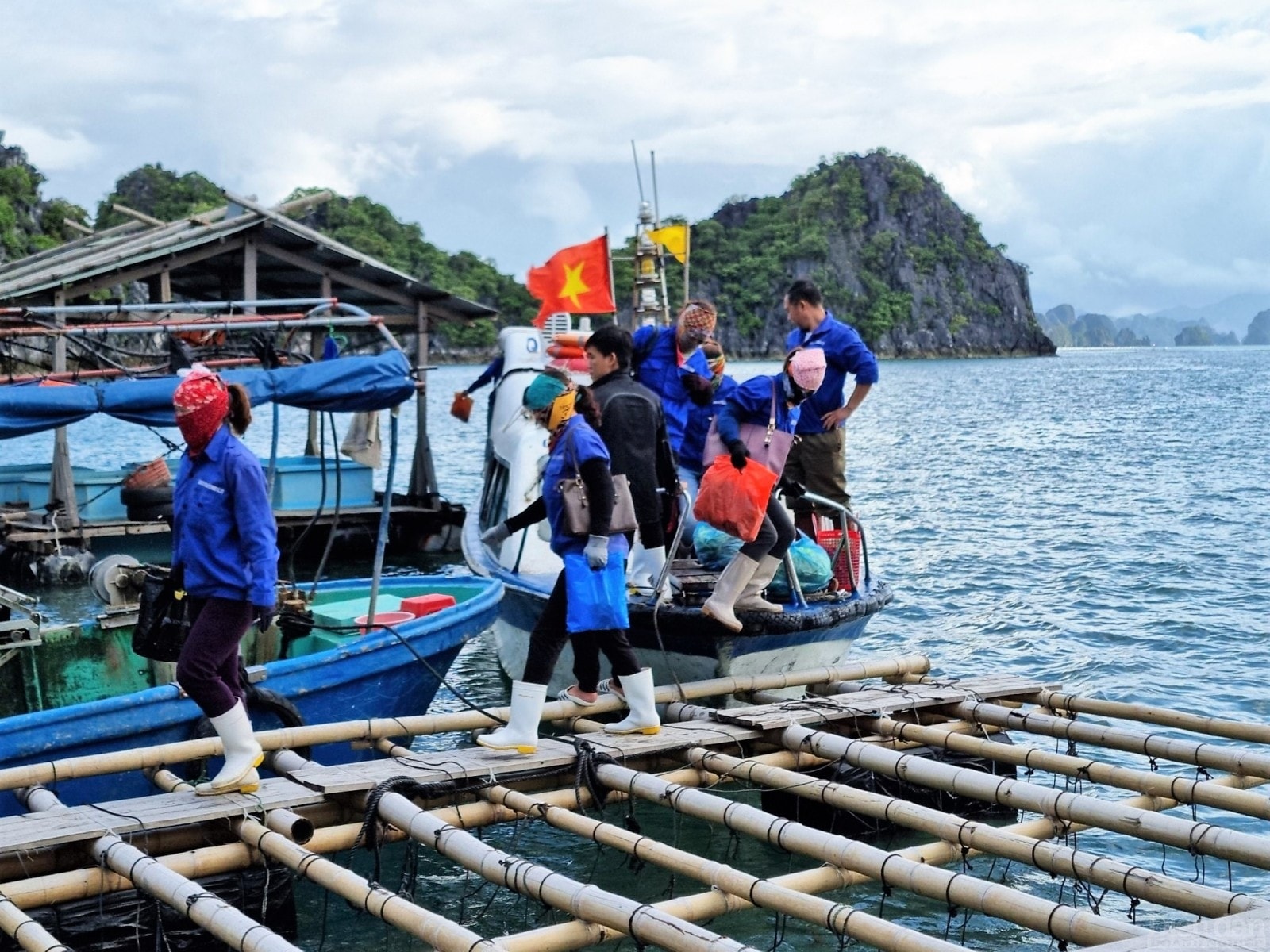 Khoảng 2 năm trở lại đây, Quảng Ninh liên tục bị ùn ứ hàng hải sản. Thiệt hại kinh tế chung niều tỷ đồng. Nguyễn nhân một phần là việc nuôi trồng tría phép. Ảnh Lê cường