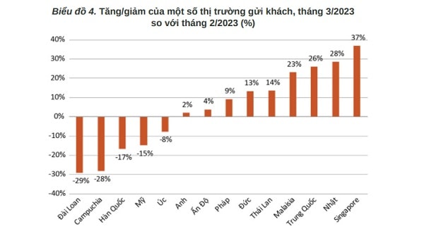 Thị trường 