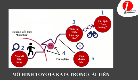 Quy trình 5 bước theo mô hình cải tiến Toyota Kata 