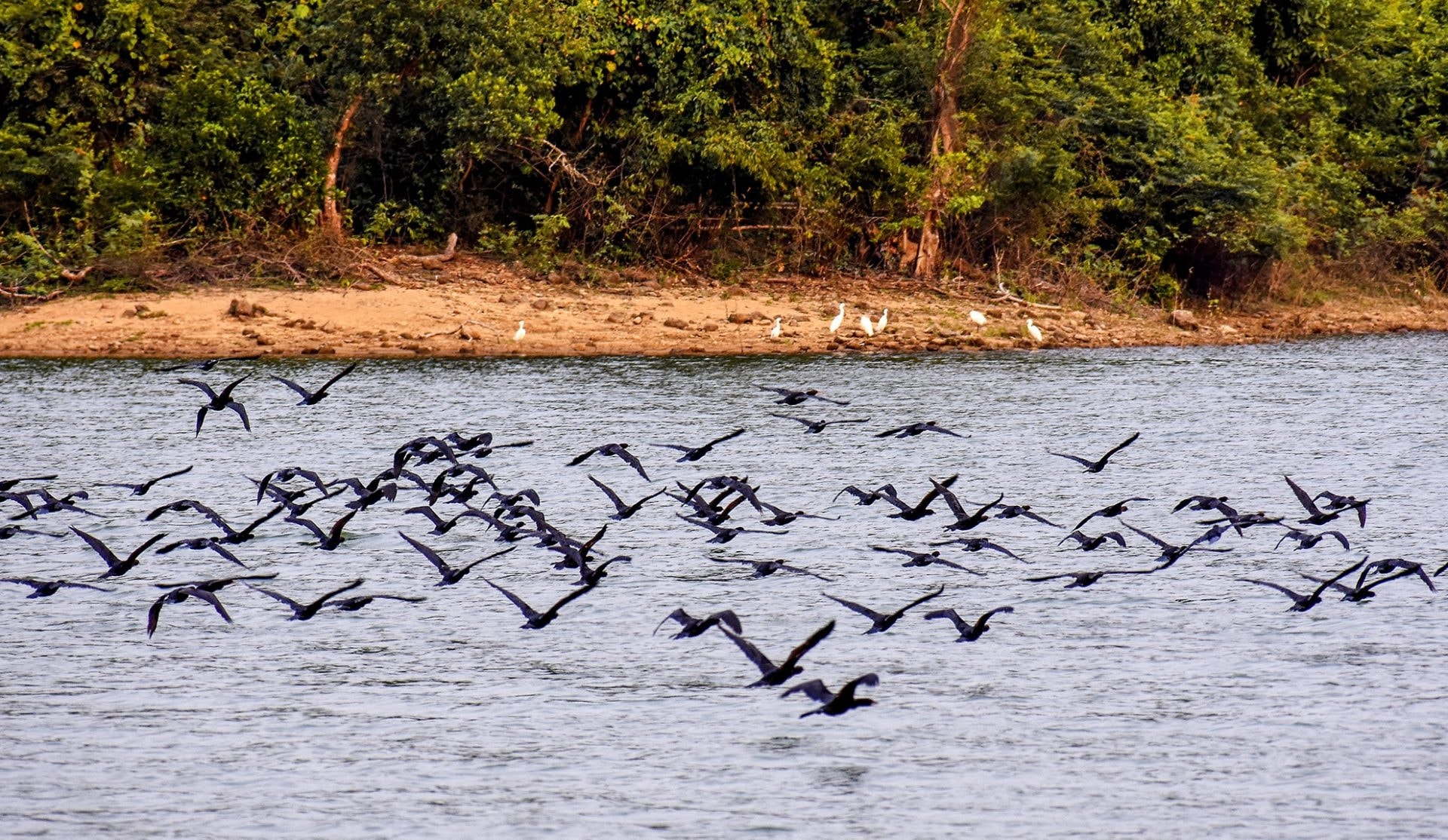 Hoàng hôn huyền ảo trên hồ nước ngọt giữa rừng Quảng Ngãi Hoàng hôn huyền ảo trên hồ nước ngọt giữa rừng Quảng Ngãi