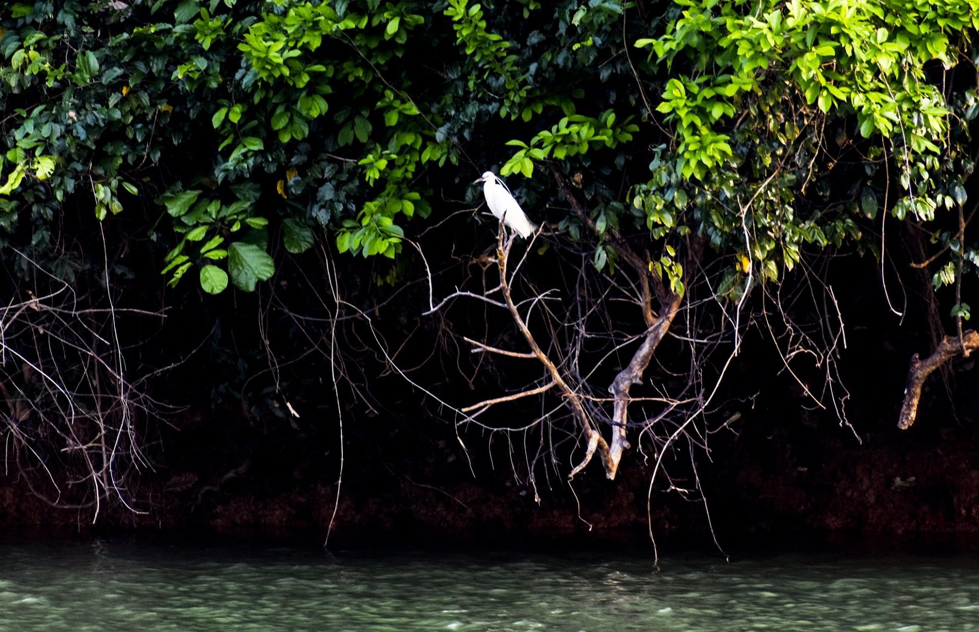 Hoàng hôn huyền ảo trên hồ nước ngọt giữa rừng Quảng Ngãi Hoàng hôn huyền ảo trên hồ nước ngọt giữa rừng Quảng Ngãi