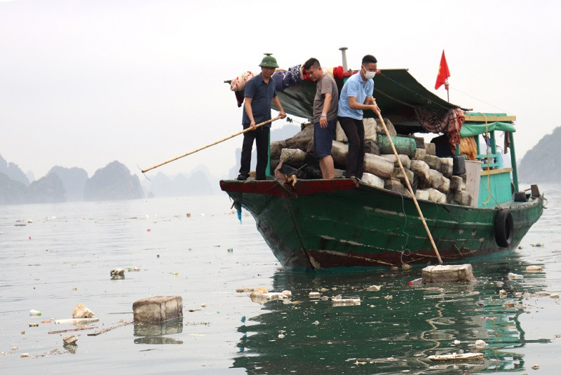 Ban Quản lý Vịnh Hạ Long huy động cán bộ, nhân viên tham gia thu gom rác (Ảnh: Báo Quảng Ninh)