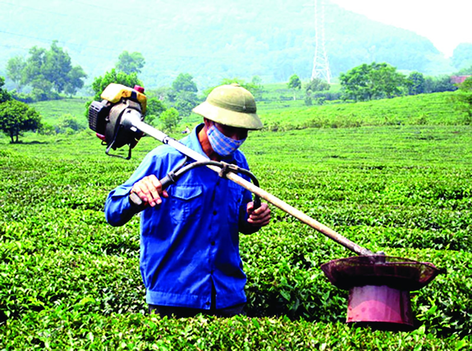 p/Sáng chế máy hút sâu cho chè giành được giải Nhì tại Hội thi “Sáng tạo kỹ thuật nhà nông” toàn quốc. Ảnh: TQ