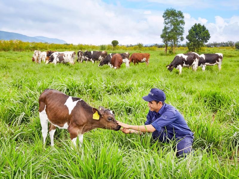 Các nhà lãnh đạo còn cho biết khó khăn trong việc đo lường tác động đến môi trường và chi phí đầu tư vào phát triển bền vững là những rào cản.