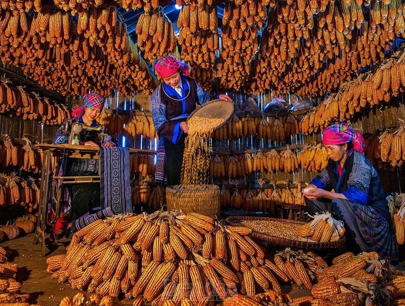 Cần bảo tồn và phát huy văn hóa cộng đồng gắn với phát triển an sinh xã hội