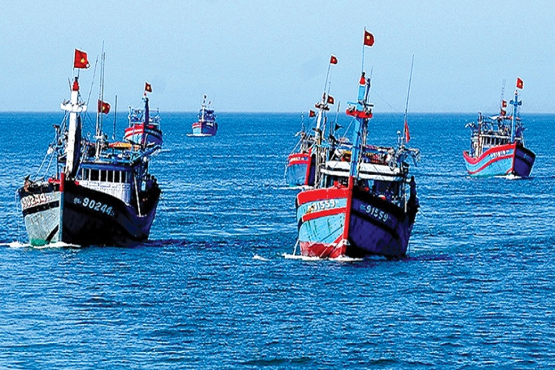 Để chống khai thác IUU hiệu quả, phải xử lý cương quyết các tàu đánh cá ở vùng biển nước ngoài, quản lý tàu cá sâu sát đến từng chủ tàu, thuyền trưởng