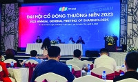 Nỗi lo mùa Đại hội cổ đông