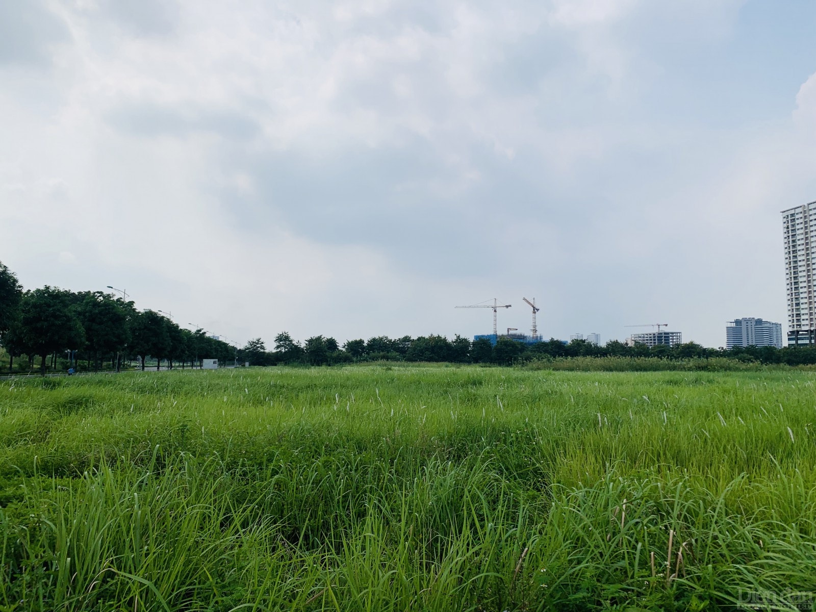 Vị trí khu đất trung tâm Khu đô thị Tây Hồ Tây (Ảnh: LV)