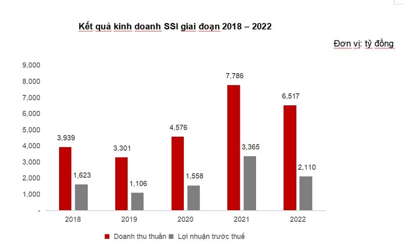 Nguồn: Báo cáo Tài chính Hợp nhất Kiểm toán SSI