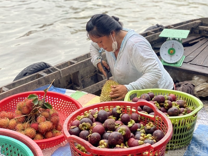 Du khách từ Quảng Ninh đến Cần Thơ sẽ được đến tham quan các điểm đến đặc trưng vùng sông nước Cần Thơ