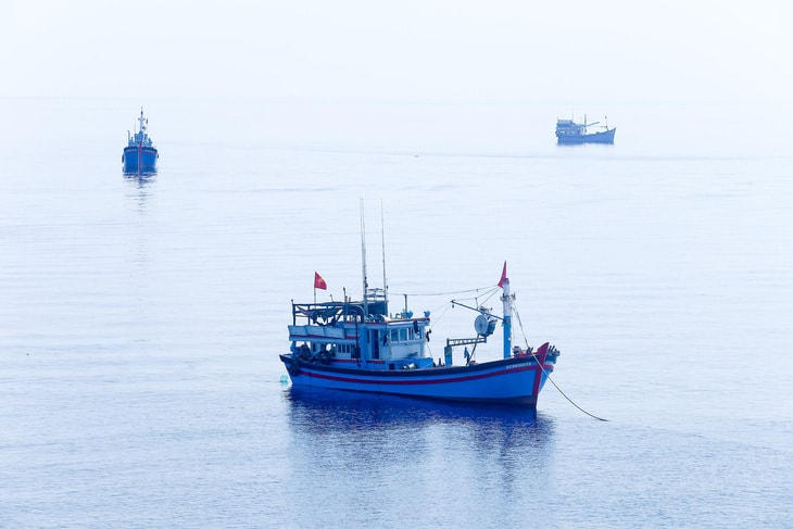 Tàu cá Việt Nam thả neo ở khu vực quần đảo Trường Sa (Việt Nam) - Ảnh: C.TUỆ