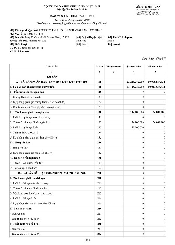 Báo cáo tài chính năm 2020 của Tâm Lộc Phát