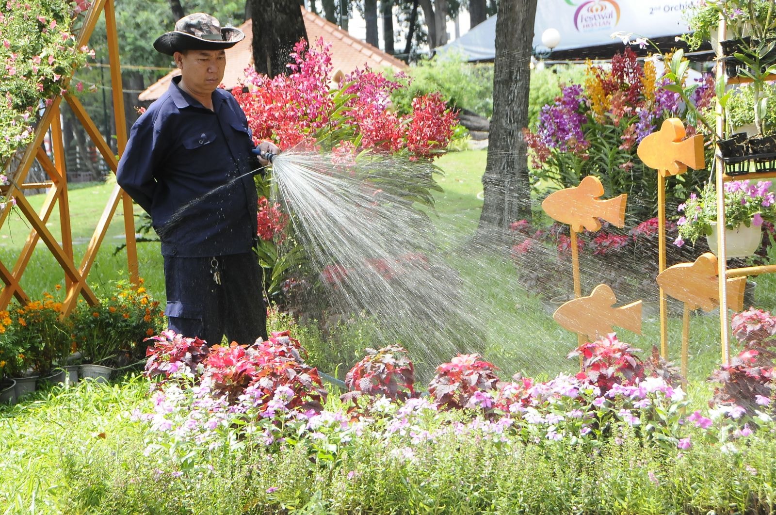 Do thời tiết tại TP.HCM những ngày này khá nắng nóng, nên các công nhân phải thường xuyên tưới nước để giữ cho hoa lan luôn tươi và đẹp trong mắt du khách - Ảnh: Đình Đại.