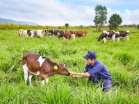 Kinh doanh khó khăn, doanh nghiệp tăng đầu tư cho phát triển bền vững