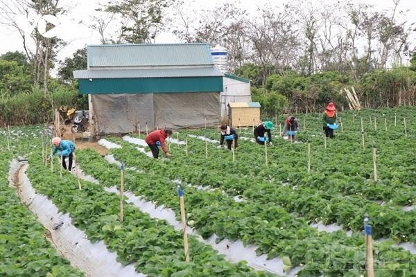 Làng du lịch thông minh đã chủ động đưa du khách đến với địa phương một cách có hiệu quả