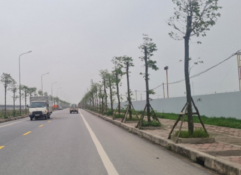 Hạ tầng khu công nghiệp Tiền Hải được đầu tư đồng bộ (ảnh báo Thái Bình)