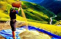 “Đánh thức“ tiềm năng du lịch Yên Bái