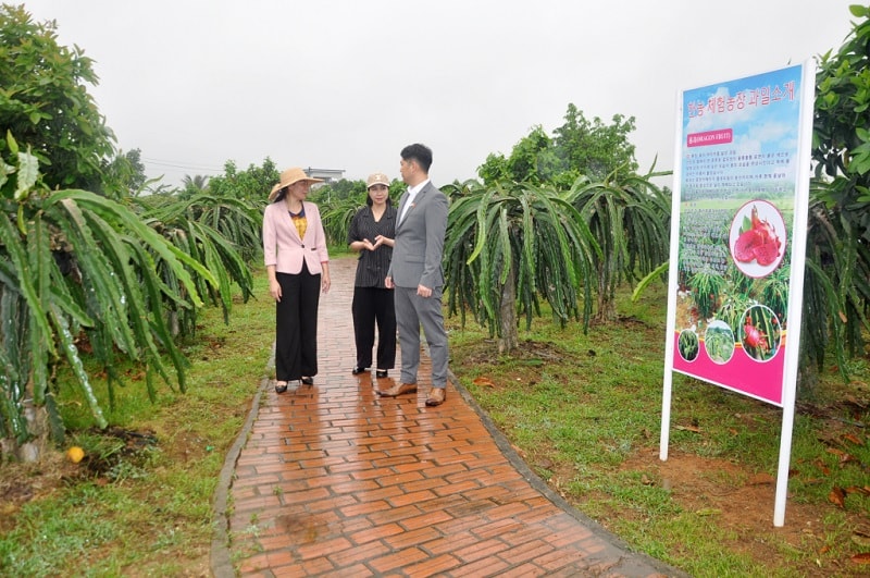 Trong bối cảnh phát triển kinh tế, quá trình đô thị hóa diễn ra không ngừng, nhiều vùng nông thôn, làng mạc đã dần trở thành các đô thị. Trong quá trình đó, nhiều yếu tố “làng” vẫn còn tồn tại đan xen với các yếu tố mới đã tạo ra nhiều cảnh quan độc đáo, có giá trị trong phát triển các sản phẩm du lịch (ảnh báo Quảng Ninh)