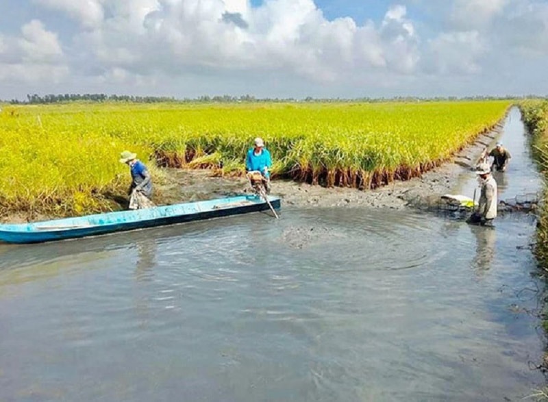 Dự án đầu tư gần 11,3 tỷ đồng xây dựng kênh dẫn phát triển mô hình lúa-rươiDự kiến tổng mức đầu tư dự án là gần 11,3 tỷ đồng từ ngân sách tỉnh trong kế hoạch đầu tư công trung hạn giai đoạn 2021-2025. Thời gian thực hiện dự án trong giai đoạn 2022-2023