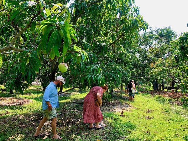 Người dân Cam Lâm đã đưa xoài đồng hành cùng du lịch