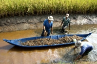 Phát triển kinh tế tuần hoàn, giải quyết thách thức biến đổi khí hậu