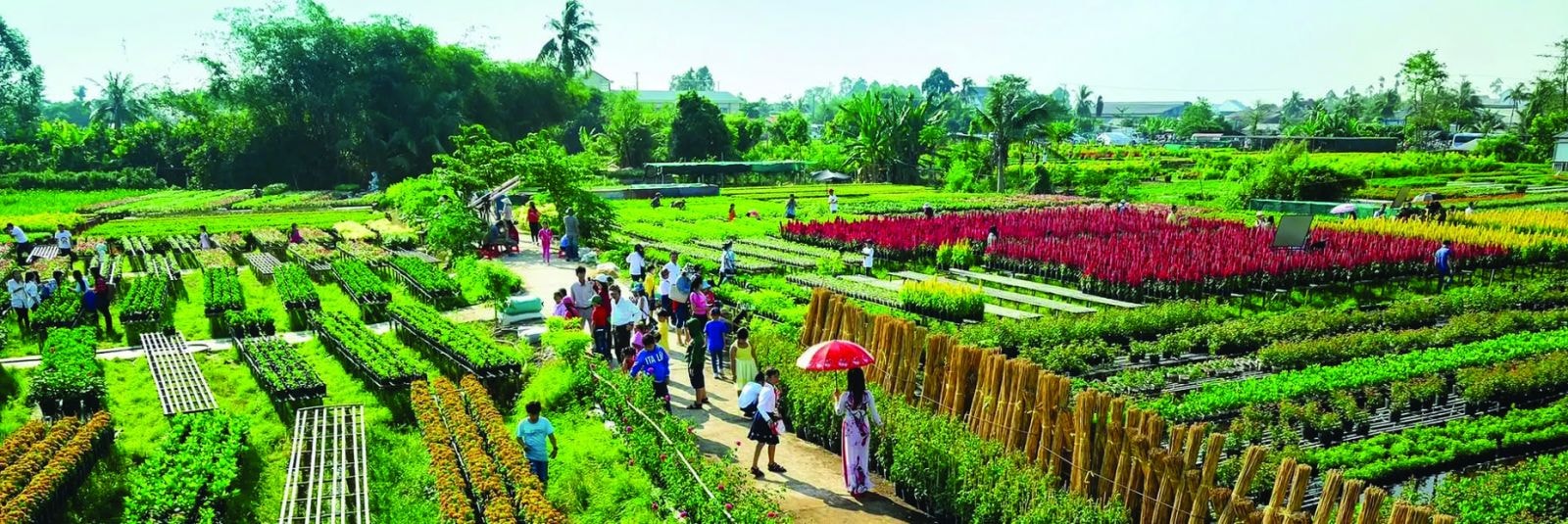  “Quê mình” lựa chọn du lịch để phát triển tại ĐBSCL. (Ảnh: Làng hoa Sa Đéc, Đồng Tháp)