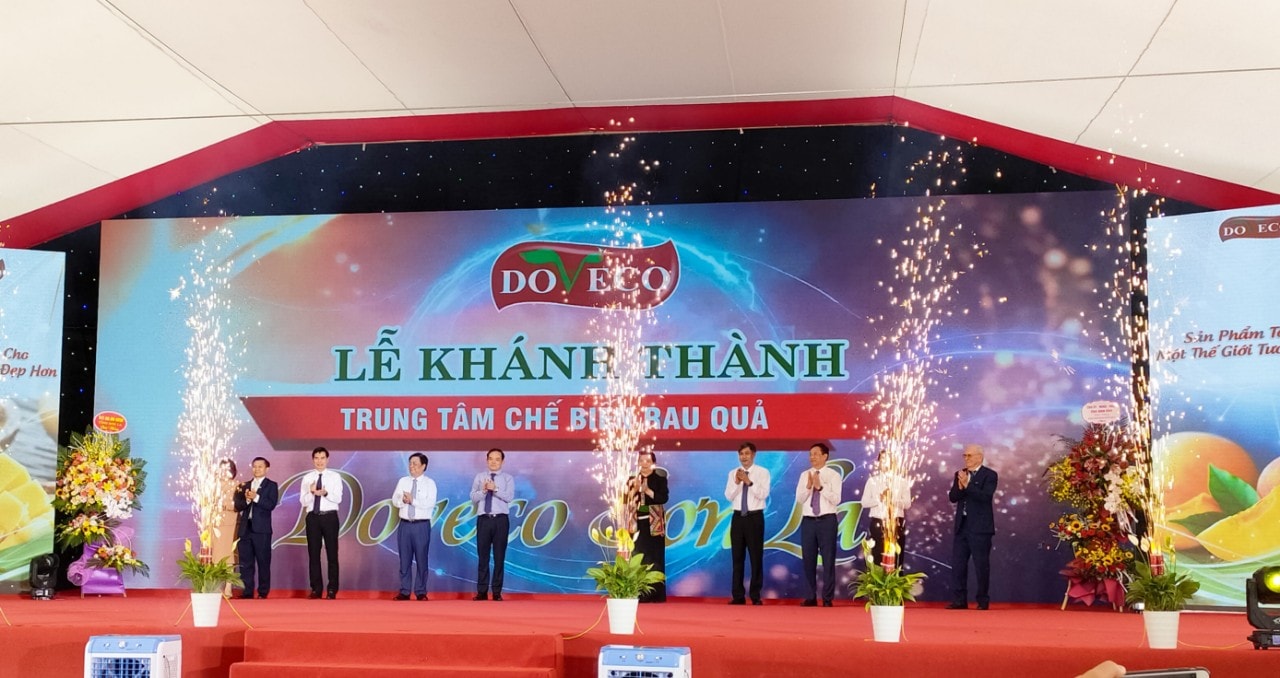 Các đại biểu nhấn nút khánh thành trung tâm Chế biến rau quả DOVECO