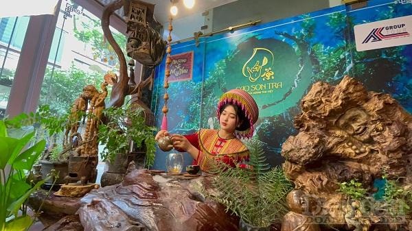 “Tea Tour” từ điểm thưởng thức trà tới tận chân vùng nguyên liệu. 