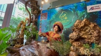 “Tea tour” – mô hình trải nghiệm du lịch mới