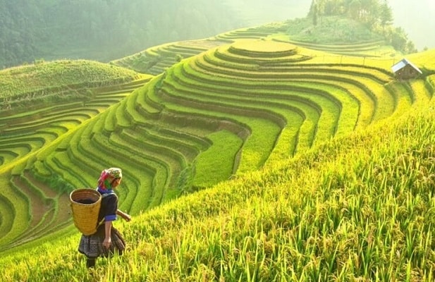 Du lịch sinh thái ruộng bậc thang của dân tộc miền núi phía Bắc.