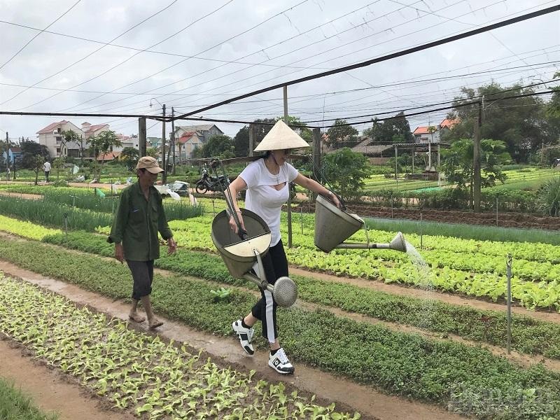 Vấn đề doanh nghiệp và các địa phương quan tâm là cơ chế hỗ trợ,