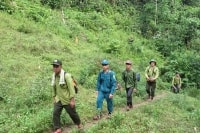 Chi cục Kiểm lâm Thanh Hóa: Sáng tạo, linh hoạt trên mặt trận quản lý, bảo vệ rừng