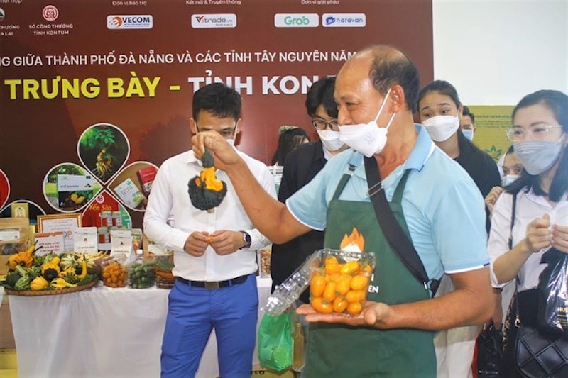 Để “kích hoạt” chuyển đổi số trong kinh tế hợp tác, HTX thành công cần thay đổi tư duy từ sản xuất truyền thống sang ứng dụng công nghệ, đồng thời phù hợp với từng HTX.