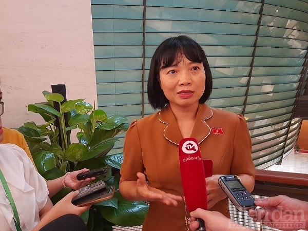 Đại biểu Quốc hội Nguyễn Thị Việt Nga. Ảnh: Nguyễn Việt