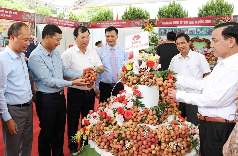 Lãnh đạo tỉnh Bắc Giang cùng các đại biểu tham quan gian trưng bày vải thiều