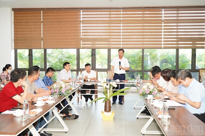 Hải Phòng: Đẩy nhanh tiến độ các dự án cảng biển - hàng không