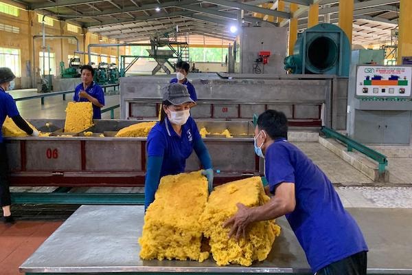 Tương tự ngành gỗ, ngành cao su cũng được ông Võ Quang Thuận – nguyên Chủ tịch Hiệp hội doanh nghiệp nhỏ và vừa tỉnh Bình Phước, Chủ tịch HĐQT Công ty Cao su Thuận Lợi, chỉ ra nhiều bất cập trong thủ tục hoàn thuế GTGT cho doanh nghiệp