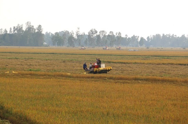 Chuyển mục đích sử dụng đất để thực hiện Dự án Khu tái định cư Nam Tân Tập tại xã Tân Tập, huyện Cần Giuộc, tỉnh Long An.